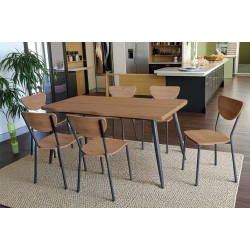 1289  tafel met 6 stoelen