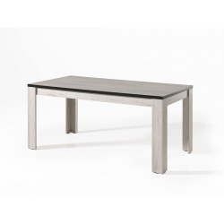 Elba 06 table 160cm
